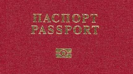 Россияне оформили более 240 тыс. загранпаспортов через криптобиокабины
