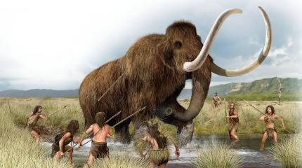 Древние американцы питались… как саблезубые тигры