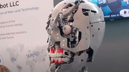Искусственный интеллект по имени Цицерон освоил настольную онлайн-игру «Дипломатия»