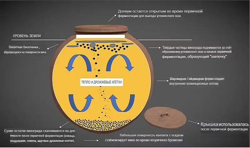 Вовсе не бурда: древнеримское вино оказалось вкуснее, чем о нем думали