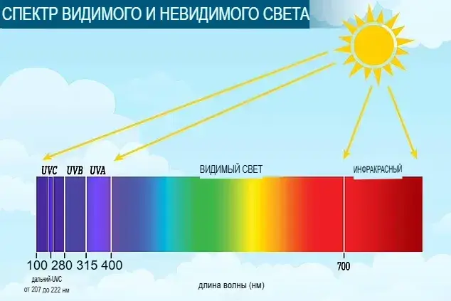 А фиолетовый-то, говорят… ненастоящий!