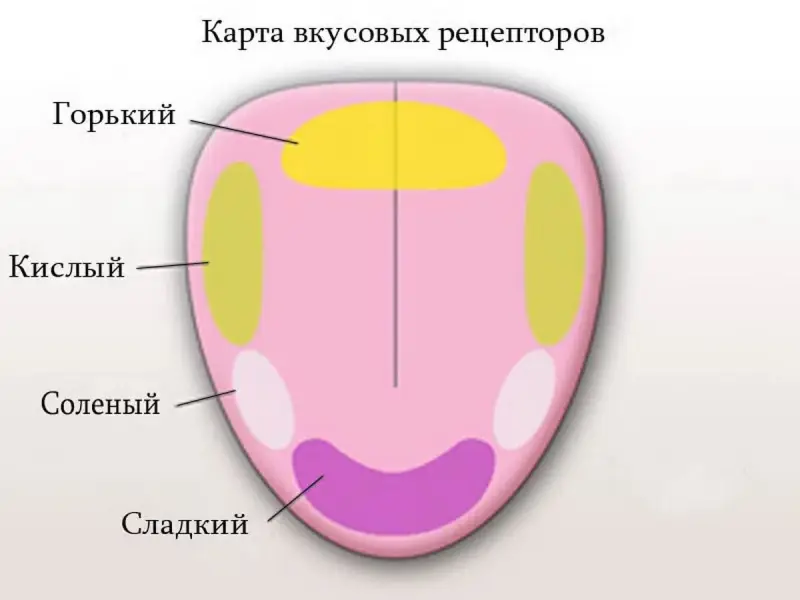 Обнаружен гриб, который содержит самое горькое на свете вещество
